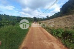 Sơ hở cái là đem lô đất đẹp ở tànung bán rẻ 1 6 tỷ