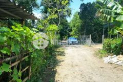 Bán 141m full thổ cư tại yên thủy giá chỉ 230tr