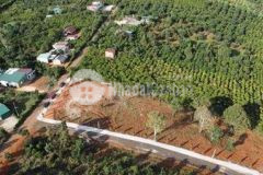 Chị gái em kẹt tiền cần bán nhanh lô đất thổ cư