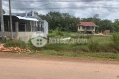 Về quê bán đất ngay kcn bắc đồng phú đường nhựa