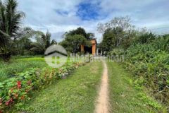 Nhà chính chủ sát ql1a cat hanh bình định