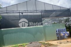 Gia đình có việc bán gấp 950m2 đất tặng nhà lan