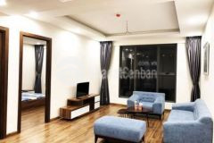 Chung cư giải phóng giáp bát35 50m2 tách sổ