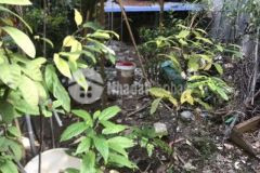 Bán lô 87m2 ngay trục chính cam lộ giá 14tr m2