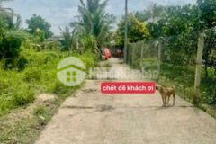 Nền biệt thự mặt tiền 43m cách cầu bình thủy 900m