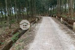 Bán 6 sào 2 mặt tiền khu nhà máy đá tp long khánh