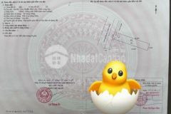 Bán lô thổ mt liên ấp 2 3 mỹ yên bến lức