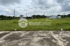 Đất nền thổ cư giá rẻ gần kcn tân hương