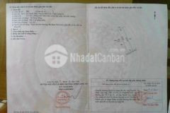 Bán lô thổ ấp 5 thạnh đức bến lức