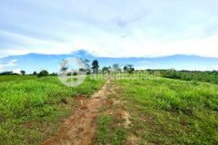 Bán hơn 8 sào đất bằng phẳng view đồi đường ô tô