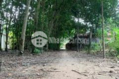 Đất phú an ngã 4 phú thứ