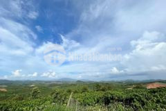 Bán lô đất 20m mặt đường thôn 8 quảng khê 420tr