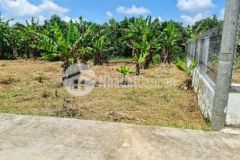 Mặt tiền 28 3m đường rạch ba cao p long tuyền bt