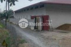 Xuởng 57x75m đuờng t 12