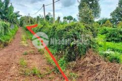 5 lô liền kề eahu giá đầu tư 325tr