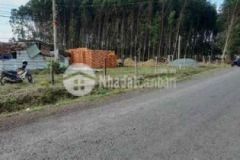 Đất lộc hoà lộc ninh bình phước