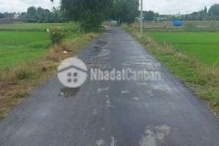 Đất vườn củ chi ngang 16m dài 30m cách nhựa 40m