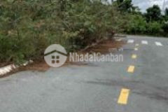 Cần bán đất thổ cư đường nhựa xã tam phước
