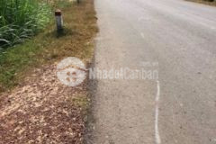 Bán 2 lô đất có thổ cư đầu tư lợi nhuận 20 1 năm