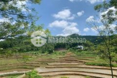 Bán gấp đất chính chủ giá rẻ 1400m siêu đẹp