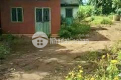 477m2 có 400m thổ cư mặt đường liên xã có nhà cũ