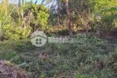 Bán đất mặt tiền đường huyện lộ 94c