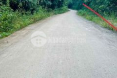 Lô đất rừng sản xuất đẹp nhức nách hợp tiến kim bo