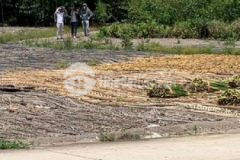 Bán đất ấp 9 xã lưỡng tâm