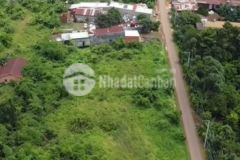 Ngân hàng thanh lý lô đất mặt tiền nhựa lớn giá