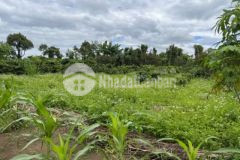 Chủ nợ nần cần bán gấp để giải quyết công việc gấp