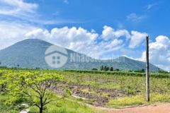 Cần tiền bán lô đất vườn ngay chợ thạnh đông