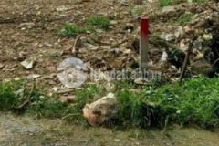 Bđ thổ cư đường tx 52 dt9 4x25m hướng nam q12