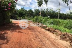 Bán lô đất ngộp tại xã định thành, dầu tiếng, bình dương, đường thông thoán, thích hợp đầu tư.