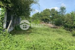 Đất thổ cư sau bệnh viện xuyên á, xã tân phú trung. 320m2 giá 3ty950, sổ hồng riêng.