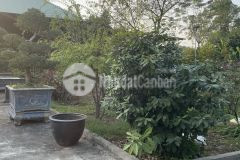 Nhượng lại mảnh 4800m2 tại cổ liễn, sơn tây, hà nội