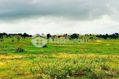 Siêu phẩm hòa thắng cạnh bên kdl bàu trắng, shr. giá chỉ 170km2.liên hệ zalo xem sổ ạ