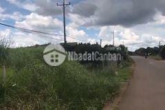 Cắt lổ đất nền bảo lộc lâm đồng 2022 đón đầu cao tốc dầu dây liên khương