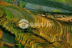 Đất nền y tý,khu đô thị du lịch mới khai thác du lịch 4 mùa, đón sóng quy hoạch