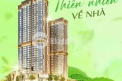 Duplex ngay làng đại học