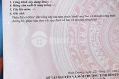Chính chủ cần ra lô đất phước hoà phú giao
