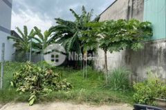 Đất xuân thới thượng nhựa kdc hh 5 5x15 giá 2650