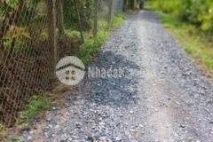 Đất trồng cây lâu năm