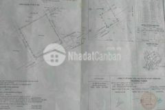 Ngộp thở bán lô đất 30x30 900m2 giá 26 5 tỉ tl