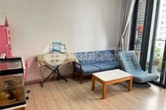 Bán gấp ch celedon city khu emerald 53m 1pn1wc 2t8