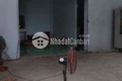 Đắt trồng cây lâu năm