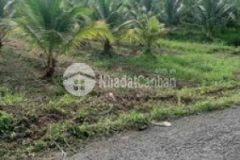 Đất mặt tiền lộ 19 vang quới tây