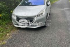 12 công sầu riêng 2 mặt tiền