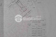 Nhà chấp thầy phong thuỷ q4 vuông vức 2 mt giá rẻ