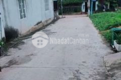 Do nhu cầu về quê bán lại căng nhà cho ai cần