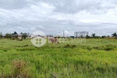 Bán 8570m2 đất có 5000m2 đất odt qbtân